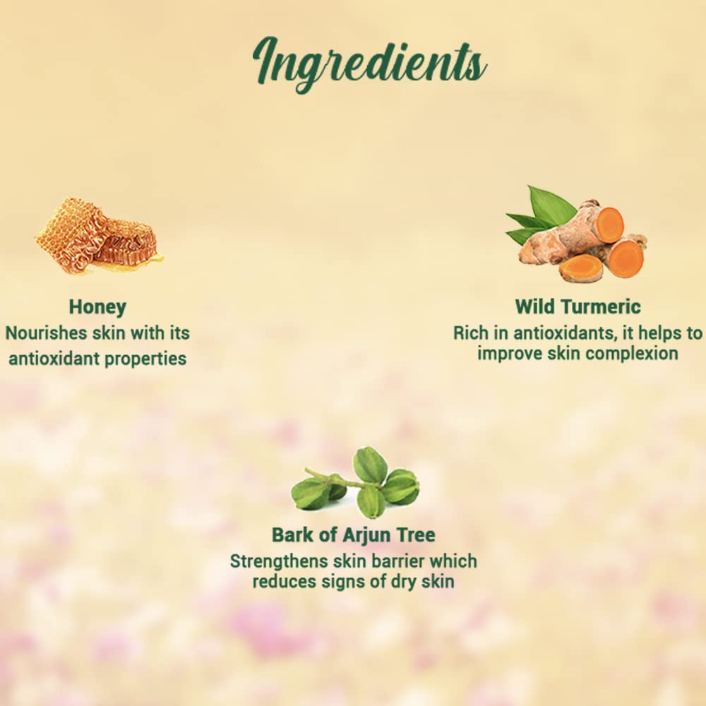 Biotique Honey Gel Soothe & Nourish Foaming Face wash | Soap Free Formula | Reduce Dryness | 100% Botanical Extracts | Suitable for All Skin Types | 150ml